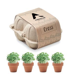 CRESS Kasvatussetti munakennossa