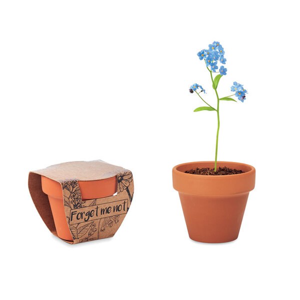 FORGET ME NOT Terracotta ruukku - GiftRetail MO6146
