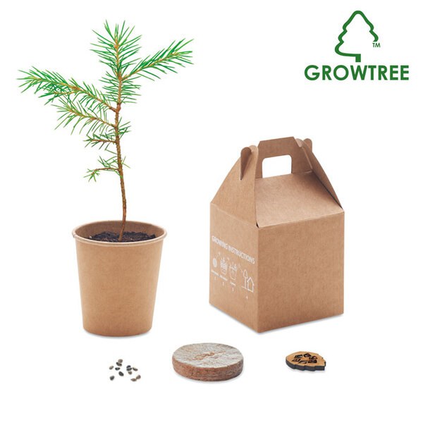 GROWTREE™ Kasvata kuusisetti - GiftRetail MO6228