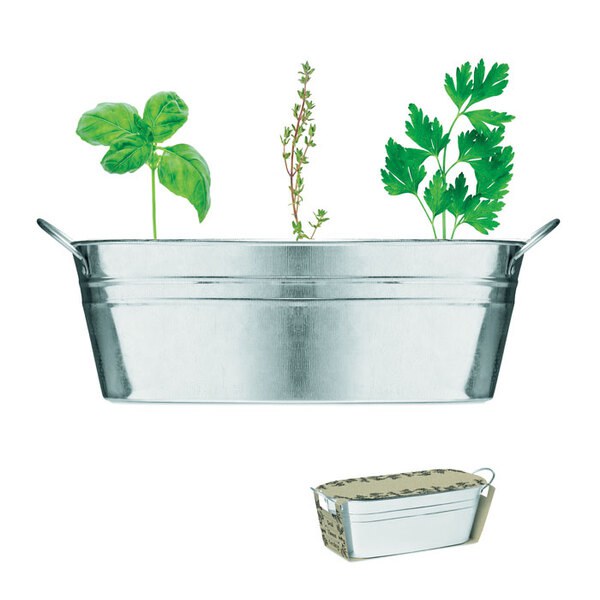 MIX SEEDS Sinkkikasvikylpy - GiftRetail MO6497