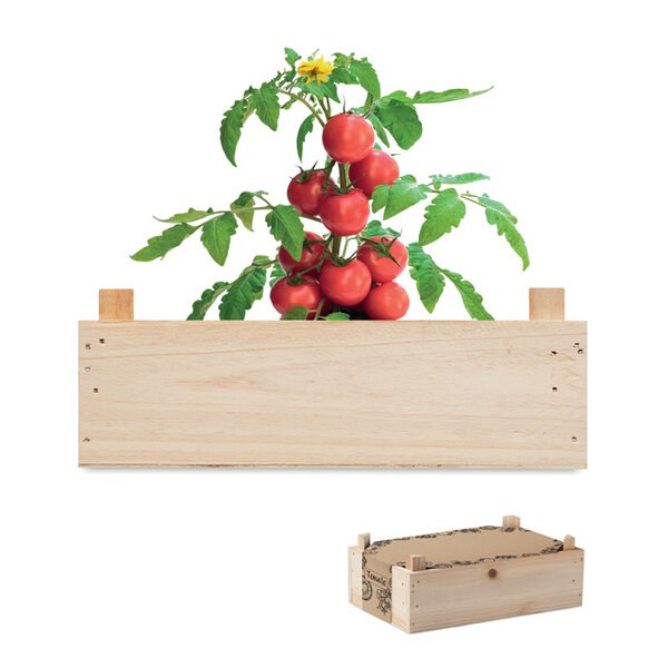 TOMATO Tomaattisetti - GiftRetail MO6498