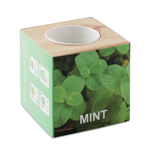 MENTA Yrttiruukku puukotelossa - GiftRetail MO9337
