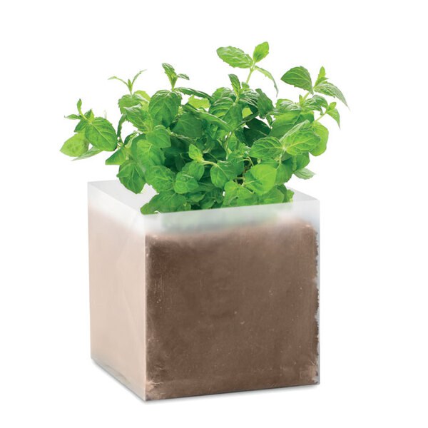 MINT Kasvatusruukku minttu - GiftRetail MO9546