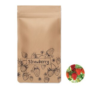 FRESA KIT Complete Strawberry Growing Kit with Compost - GiftRetail MO6928