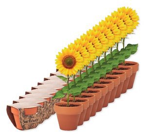 Paketti 10 kpl GiftRetail MO6147 - SUNFLOWER Terracotta ruukku